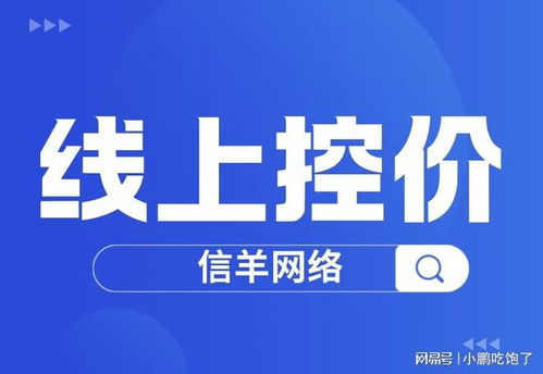 控价策略 品牌管理的核心利器与实施指南