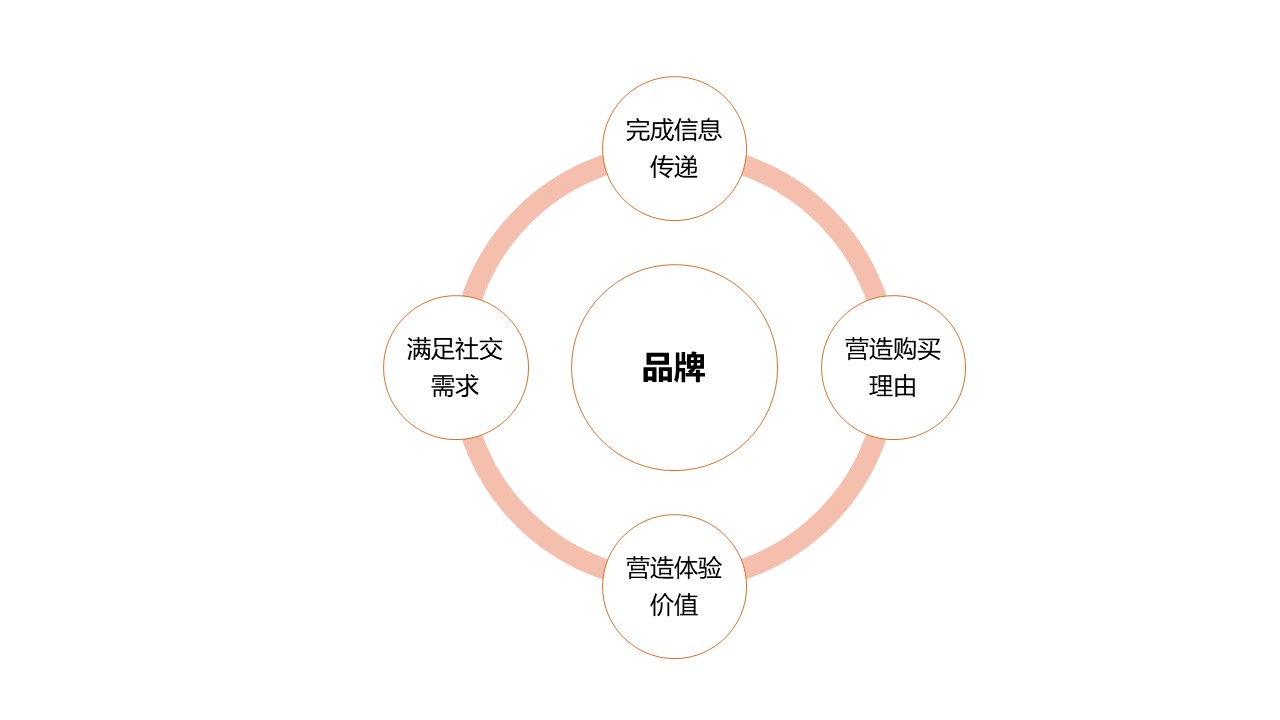 心智的锚点 品牌如何影响消费者行为与品牌管理的艺术